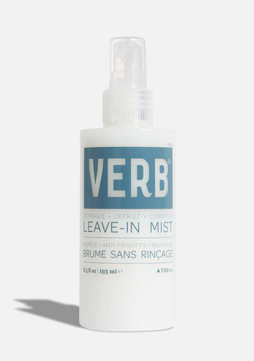 Verb Leave In Mist